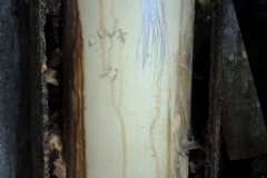 2013-02-13-13.22.15