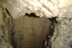 2013-02-13-13.27.42